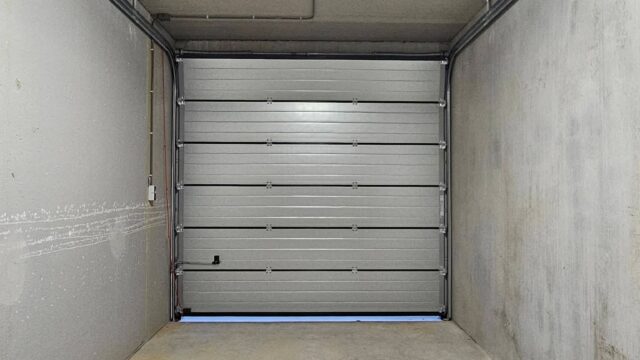 FB_IMG_1773221263278-1